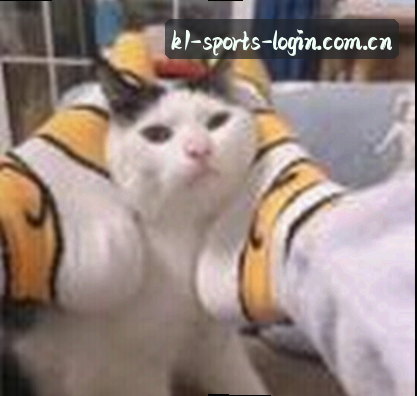 赵强
